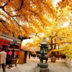 Outono chinês e seus destinos turísticos imperdíveis
