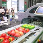 Feiras chinesas em 2018: veja quando e onde ocorrerão