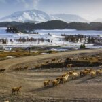 Xinjiang: a província muçulmana da China